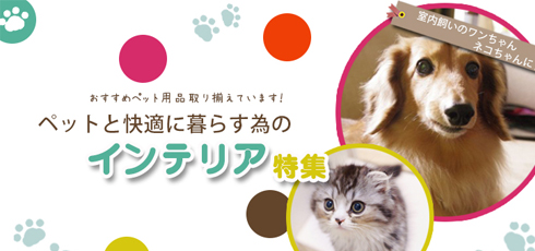 沖縄 DIY＆リフォームショップREROOM【ペット特集 滑り止め】